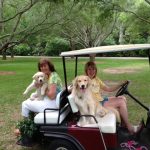 Golf_Cart