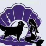 purple and white carova image