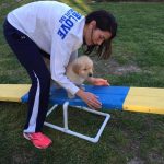 trish puppy on teeter