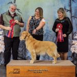 Molly reserved best in show