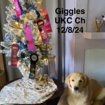 Giggles with ribbons