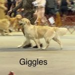 giggles moving